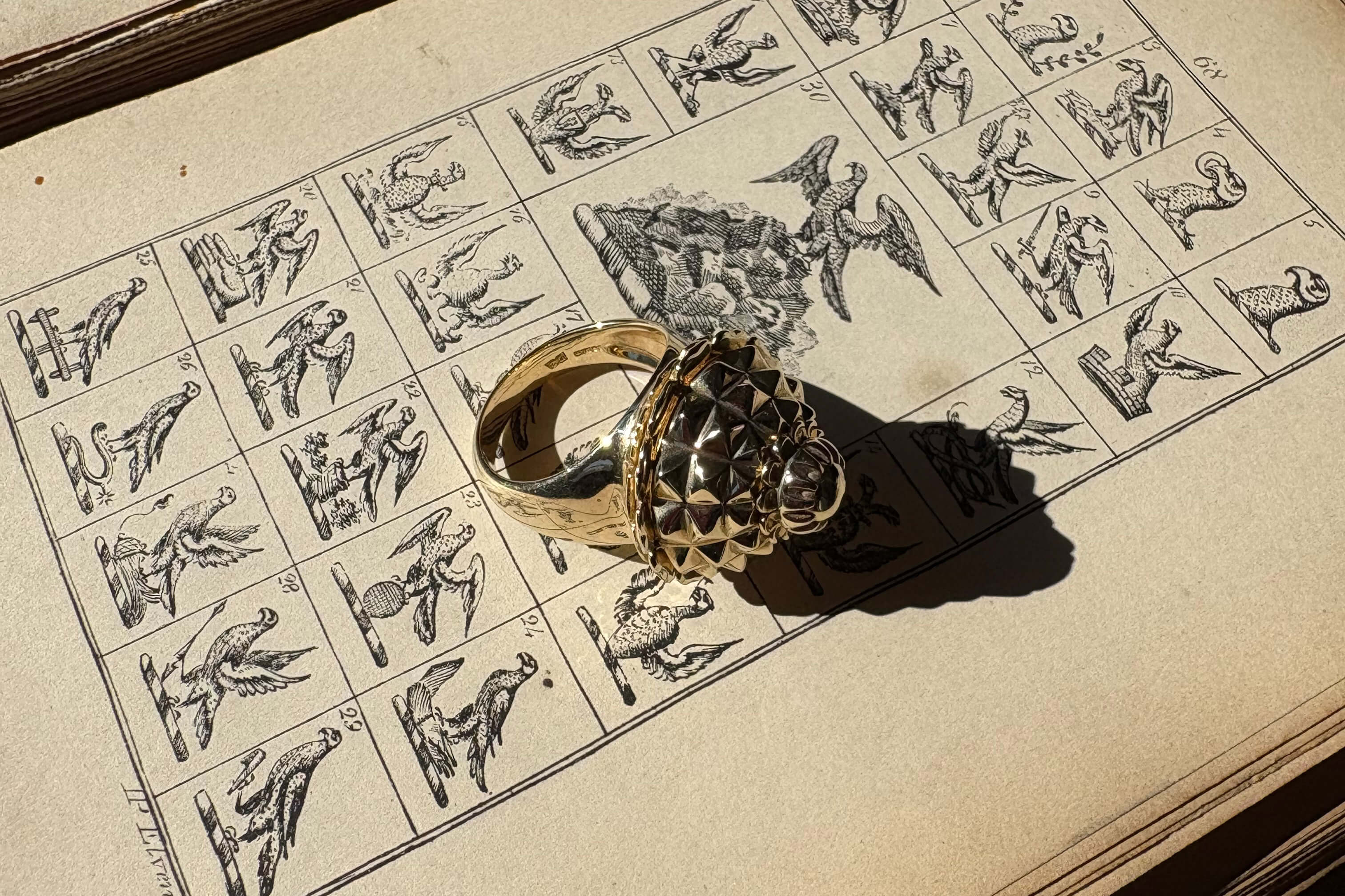 The Stories Behind Cassandra's Quirker Designs