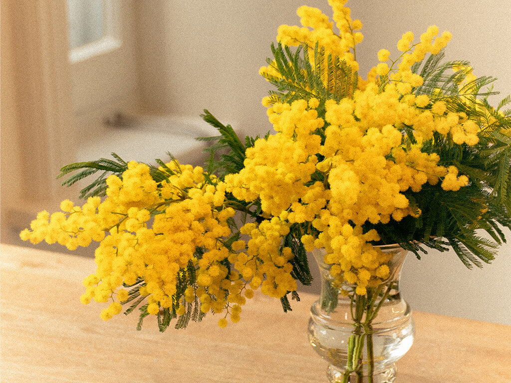 Cassandra's Guide to London in the Spring