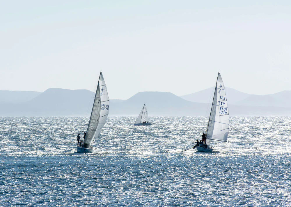 Alone at Sea: A thrilling solitary sailing race, the Vendée Globe