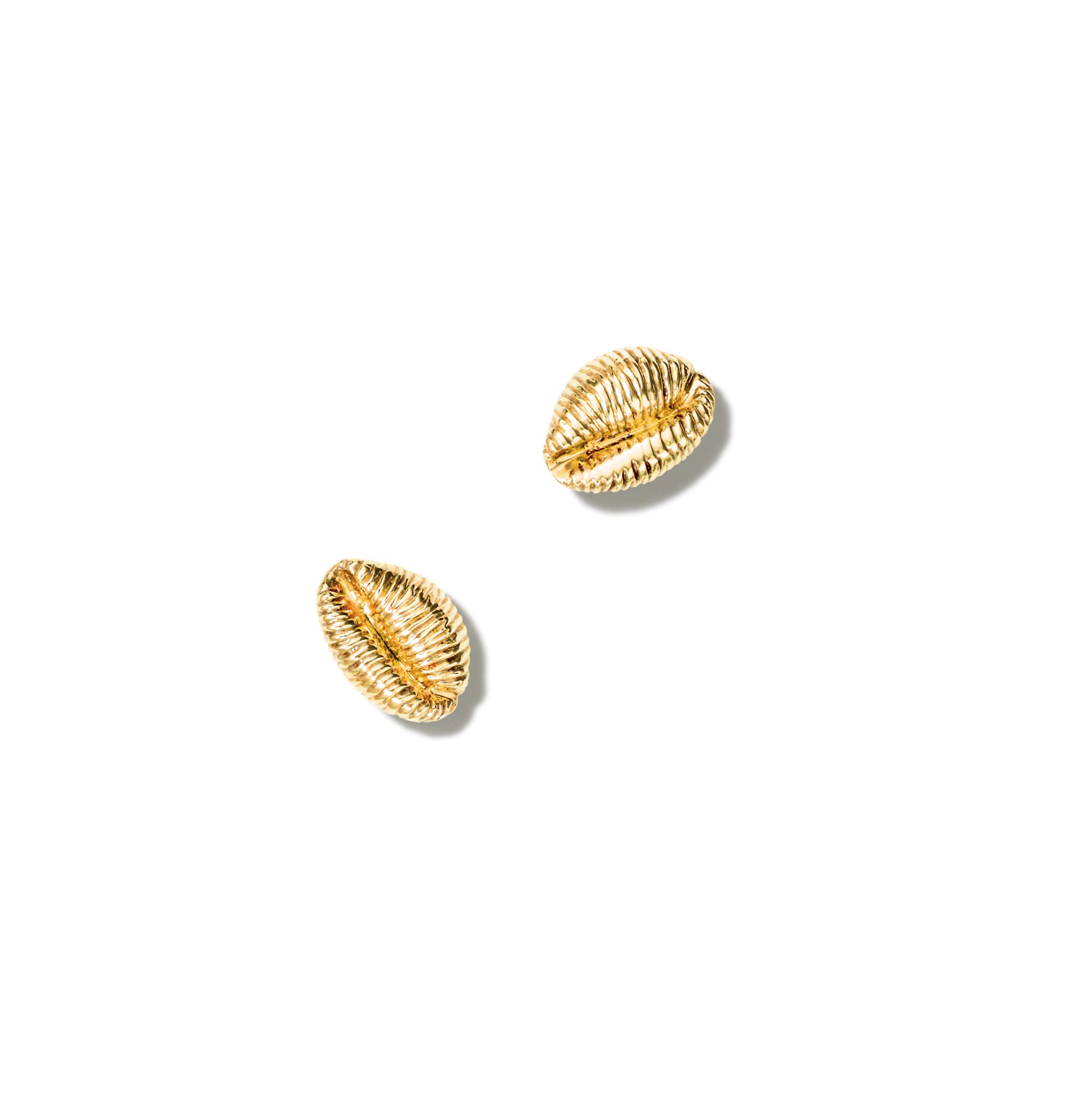 Handcrafted yellow gold earring studs showcasing a cowrie shell.
