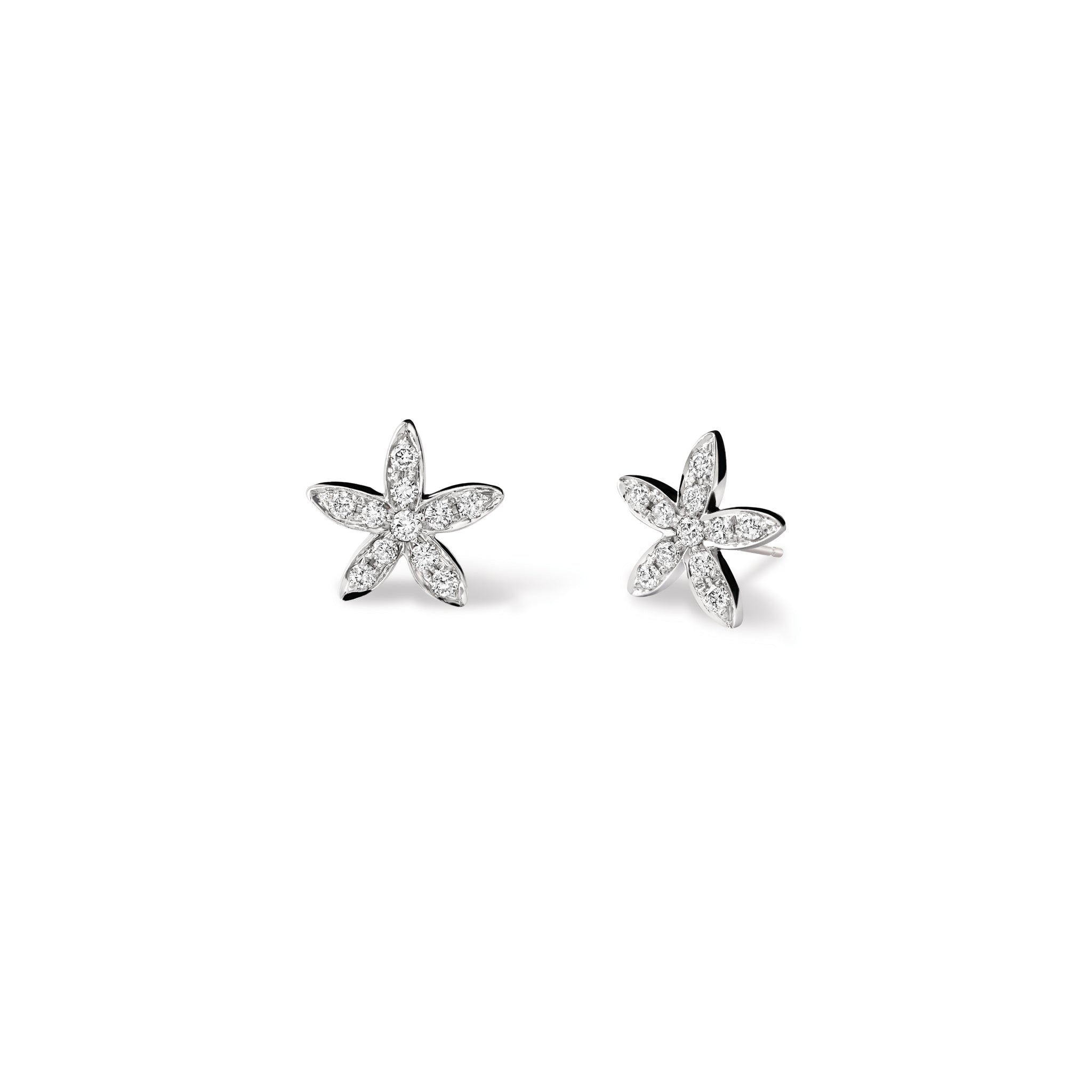 Handcrafted white gold starfish shaped earrings with diamonds.