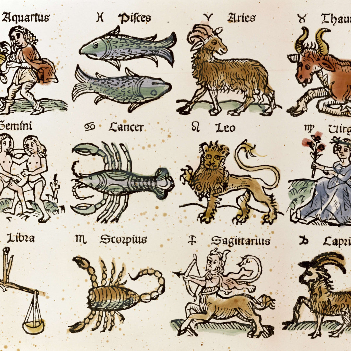 The Mythological Origins of the Zodiac | Cassandra Goad