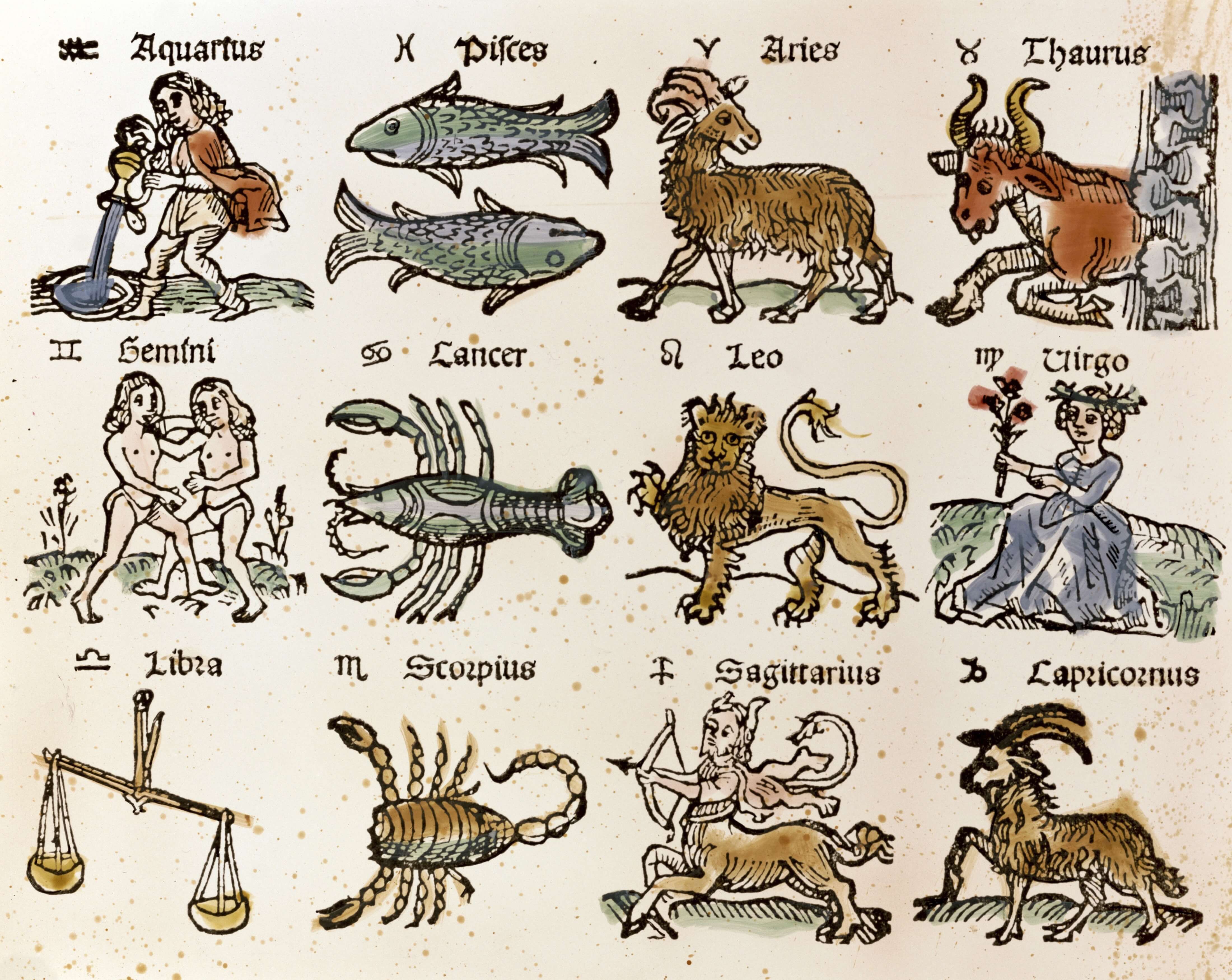The 12 Zodiacs