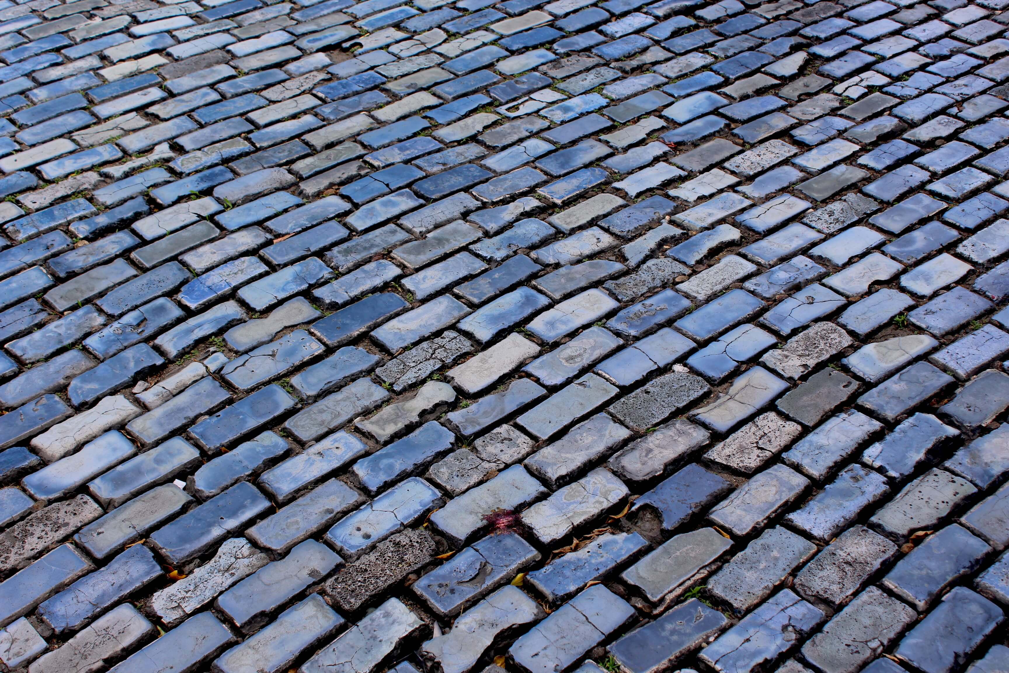 Paris Roubaix Bike Race