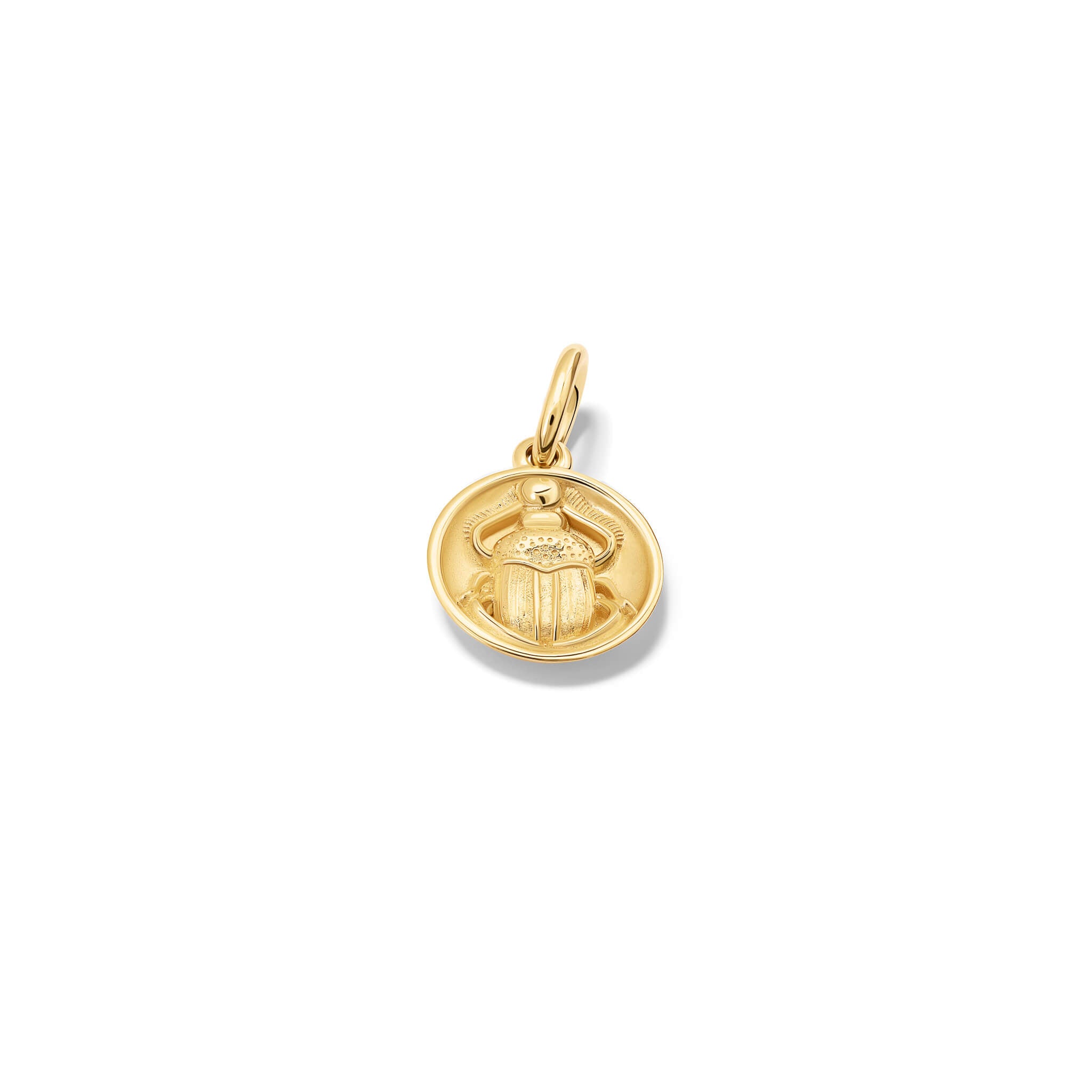 Handcrafted pendant featuring a beetle 'in relief'