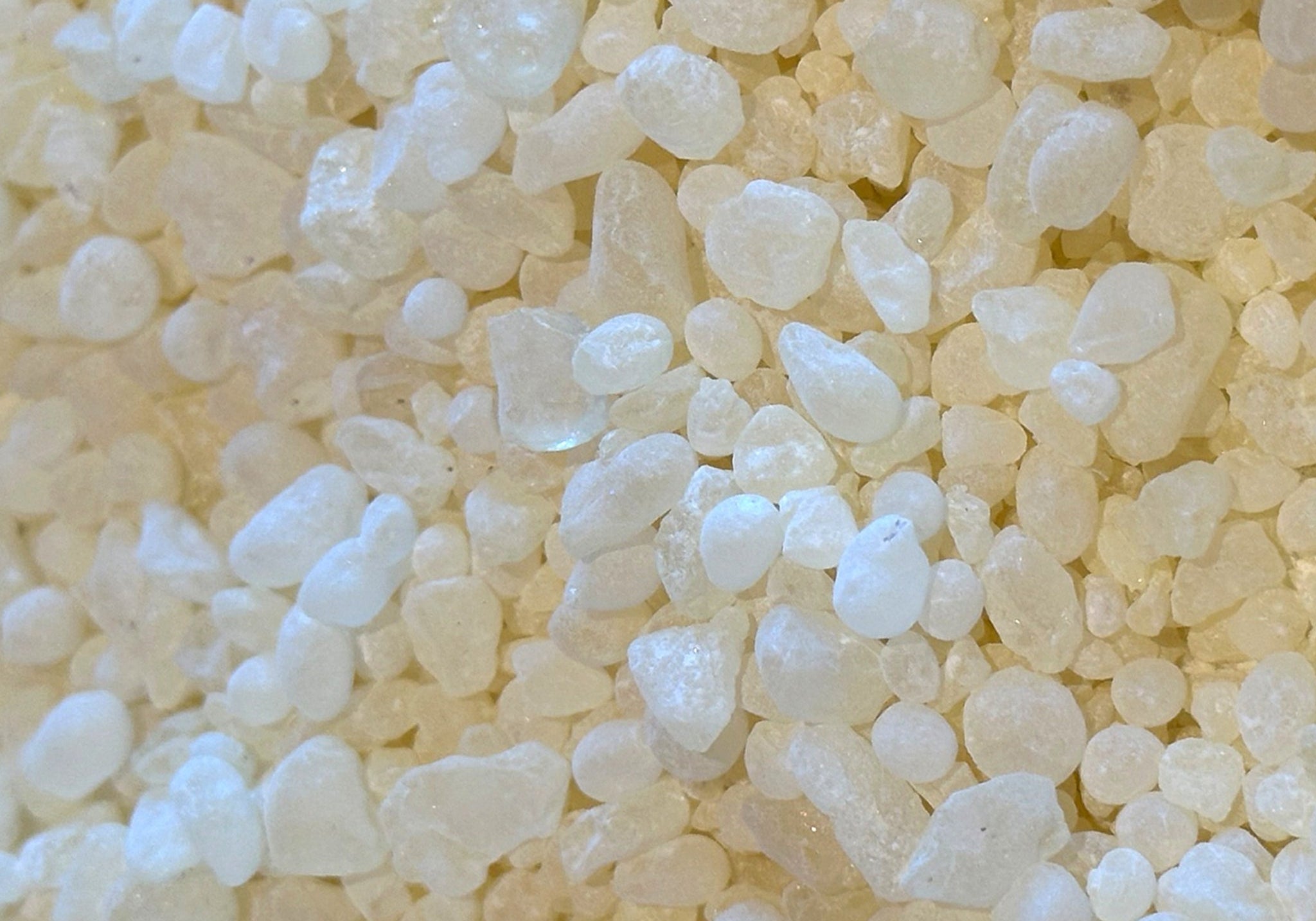 Raw traditional mastic gum.