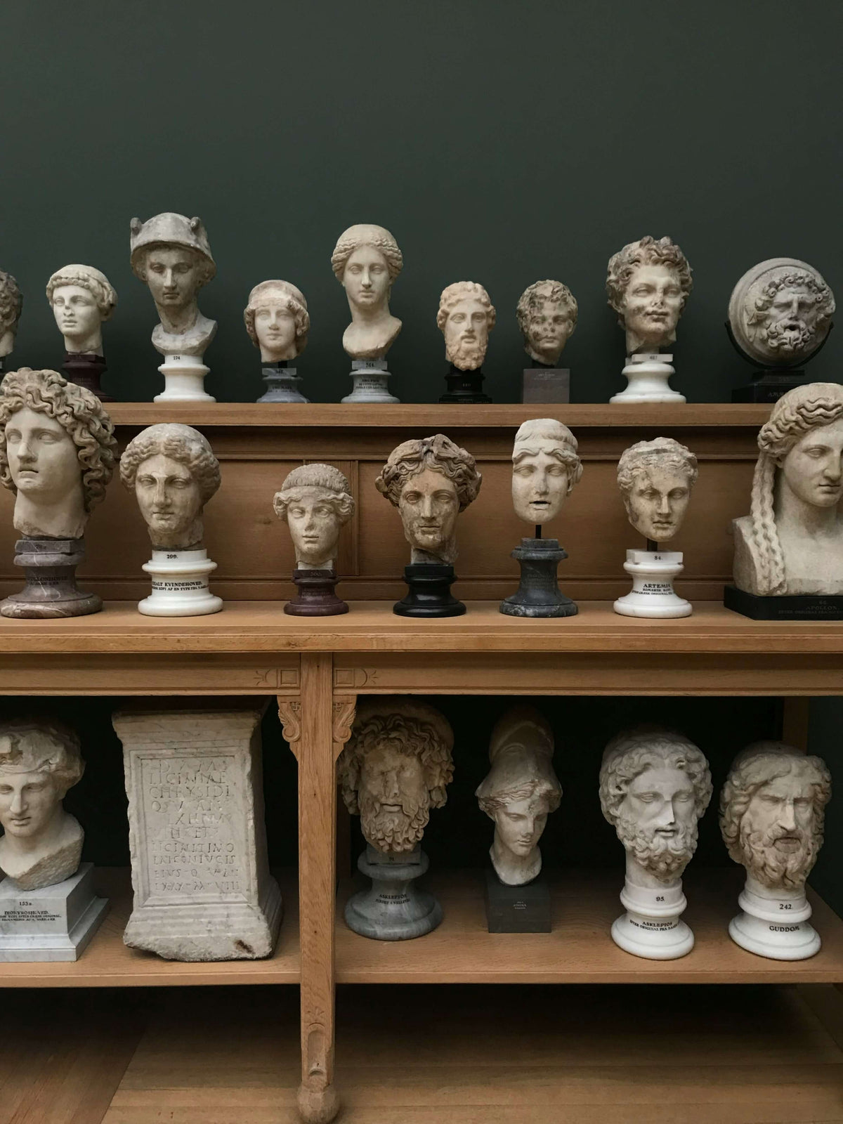 Museum display of row of marble head sculptures. 