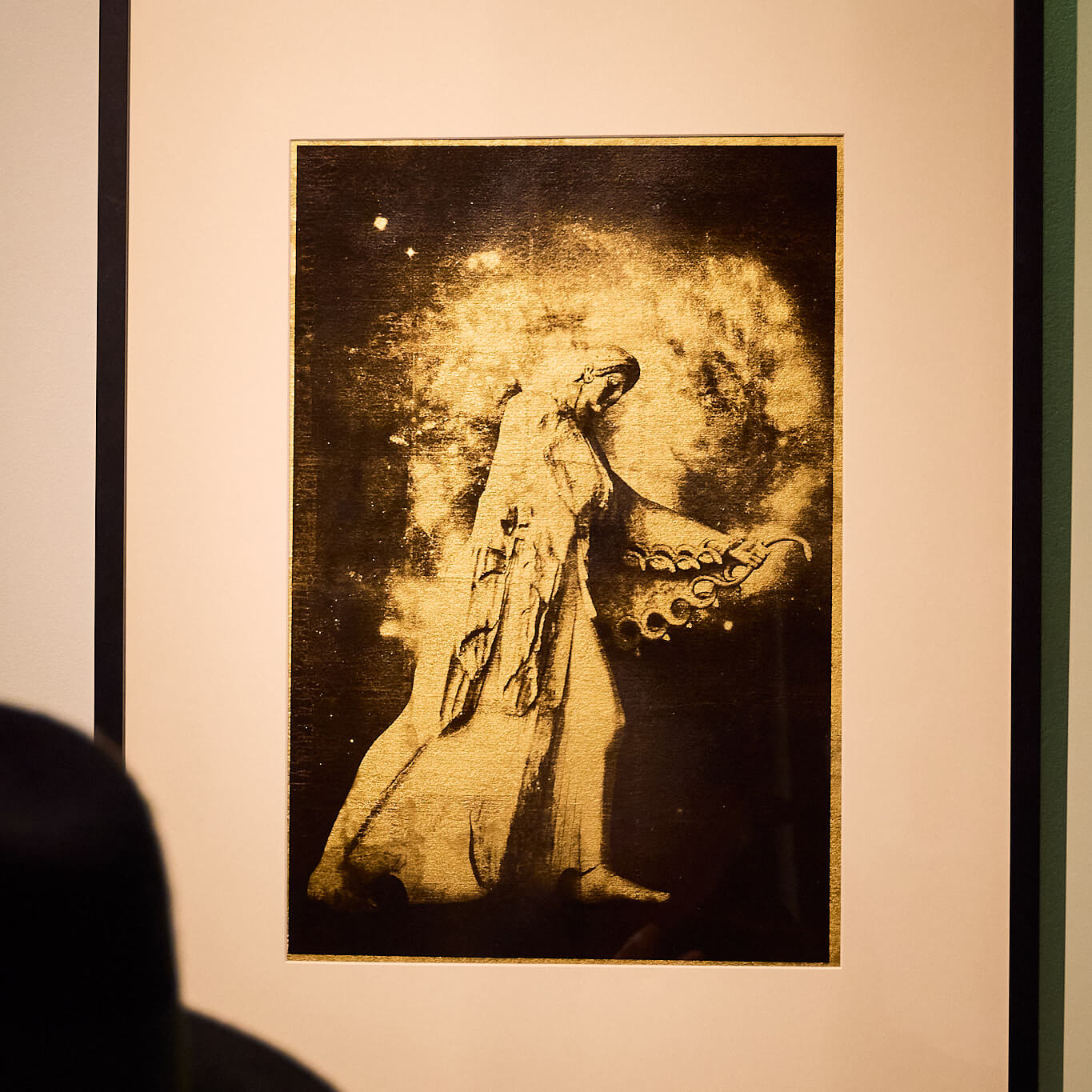 Fran May's gold leaf photograph