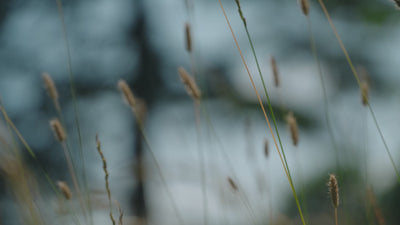 video of a wedding day with focus on cassandra goad bridal jewellery 